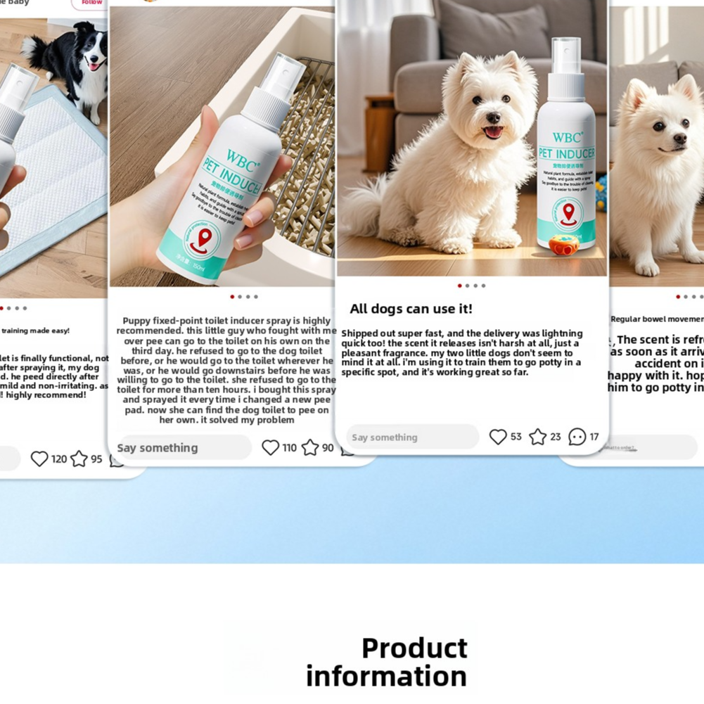 Pet toilet training attractant