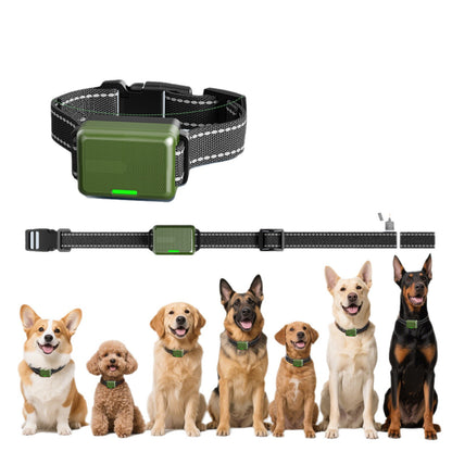 Remote Control Dog Training Collar