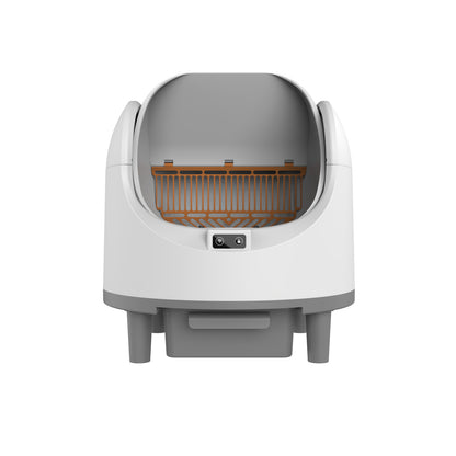 Automatic cat letter Box
