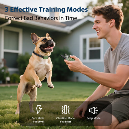 Remote Control Dog Training Collar