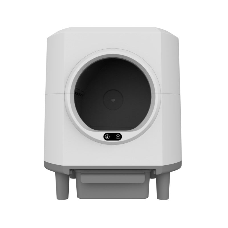 Automatic cat letter Box