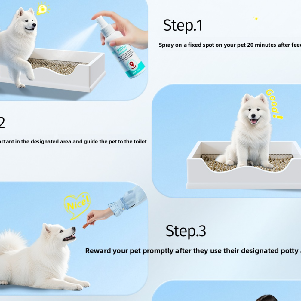 Pet toilet training attractant
