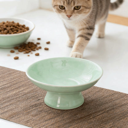 Ceramic Pet Food Bowl