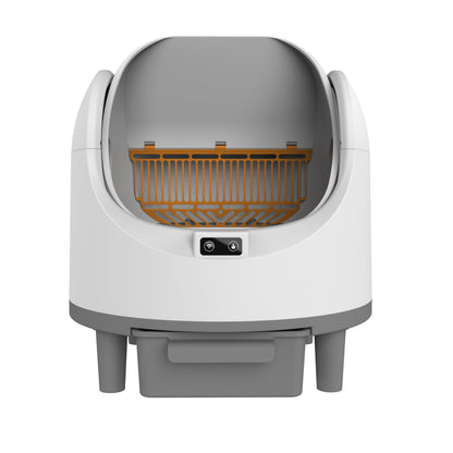 Automatic cat letter Box