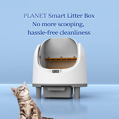 Automatic cat letter Box